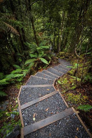 024 Lake Matheson.jpg